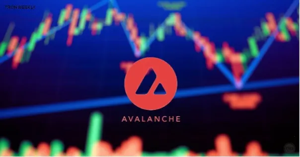 Avalanche Overview